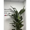 度小滿科技(北京)有限公司的logo