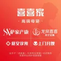 鎮(zhèn)江五星龍鳳喜喜健康服務(wù)有限公司的logo