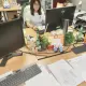 安女士的个人头像